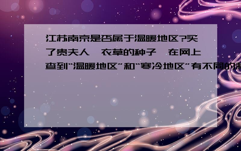 江苏南京是否属于温暖地区?买了贵夫人薰衣草的种子,在网上查到“温暖地区”和“寒冷地区”有不同的栽种时间.耐心等待中……