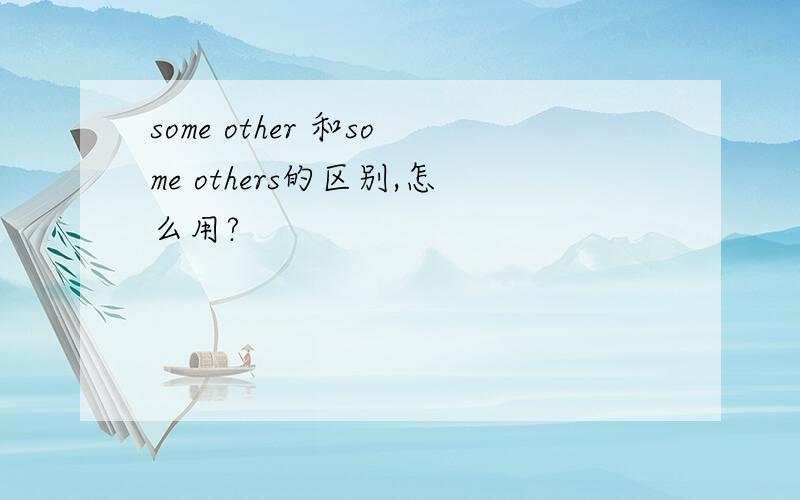 some other 和some others的区别,怎么用?