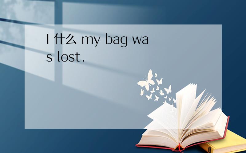 I 什么 my bag was lost.