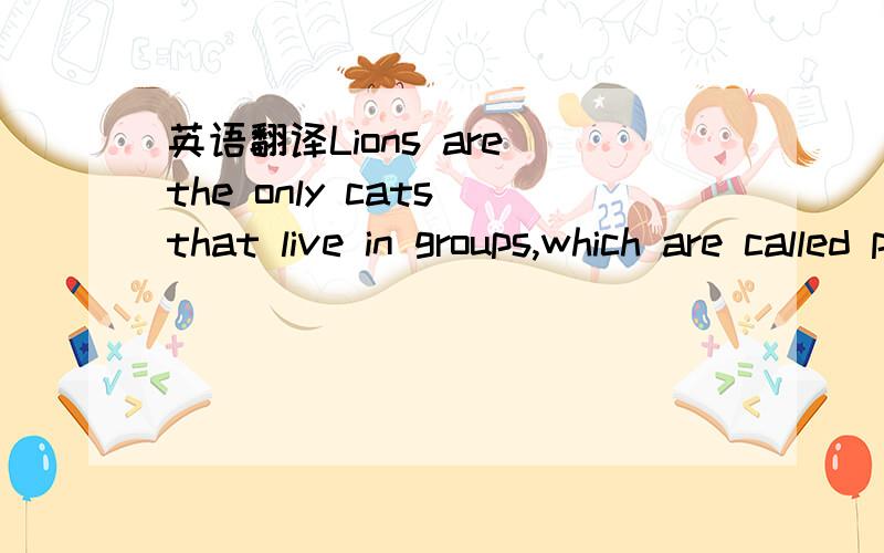 英语翻译Lions are the only cats that live in groups,which are called prides.Prides are family units that may include up to three males,a dozen or so females,and their young.All of a pride's lionesses are related,and young females typically stay w