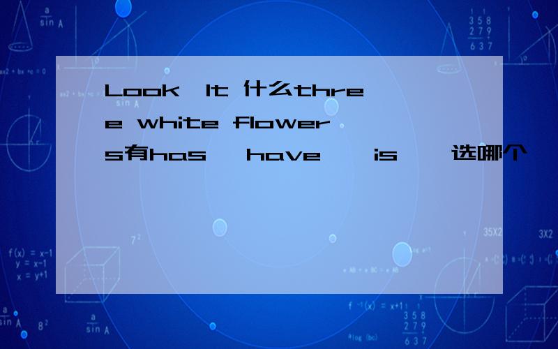 Look,It 什么three white flowers有has   have    is    选哪个