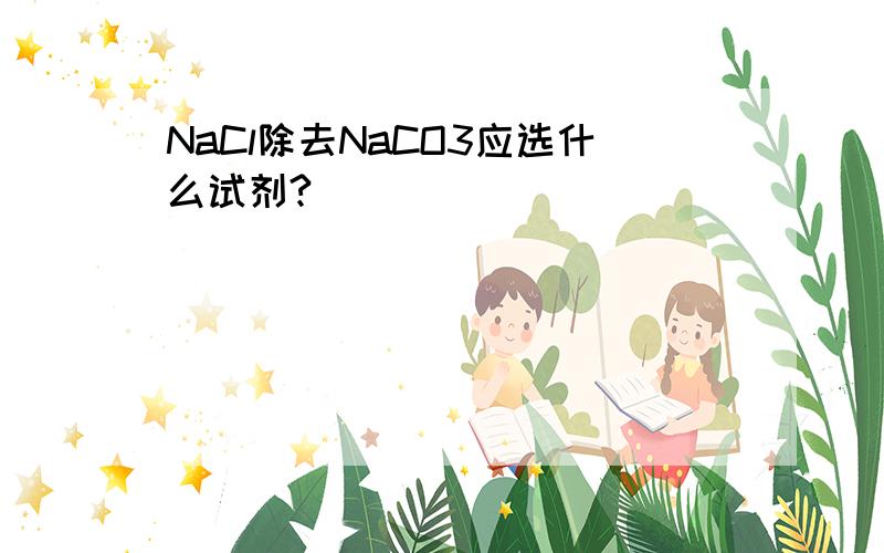 NaCl除去NaCO3应选什么试剂?