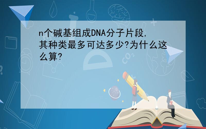 n个碱基组成DNA分子片段,其种类最多可达多少?为什么这么算?
