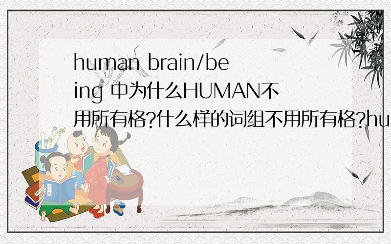 human brain/being 中为什么HUMAN不用所有格?什么样的词组不用所有格?human brain貌似构成了所有关系了呀？