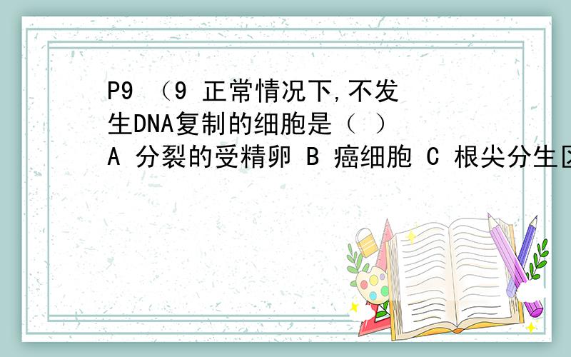 P9 （9 正常情况下,不发生DNA复制的细胞是（ ） A 分裂的受精卵 B 癌细胞 C 根尖分生区细胞 D 成熟表皮细